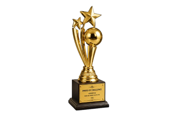 Award certificate image for Vandna Clothing Store